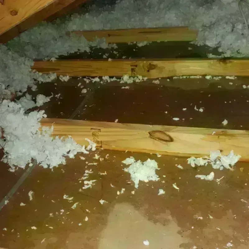 Attic Water Damage in Princeville, NC